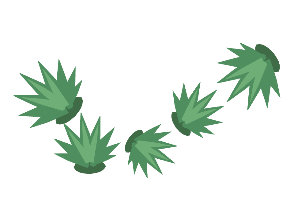 Aloe Vera drawn along a curved stroke