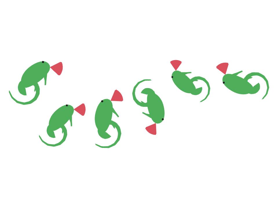 Anole drawn along a curved stroke