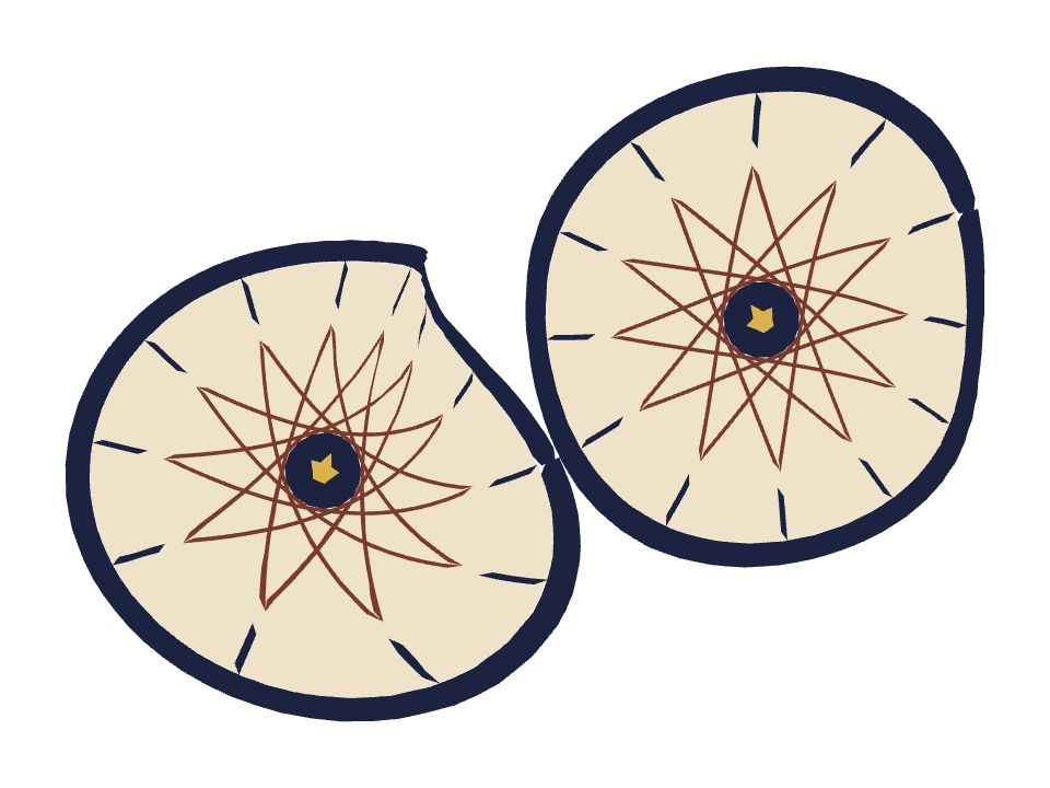 Astrology Chart drawn along a curved stroke
