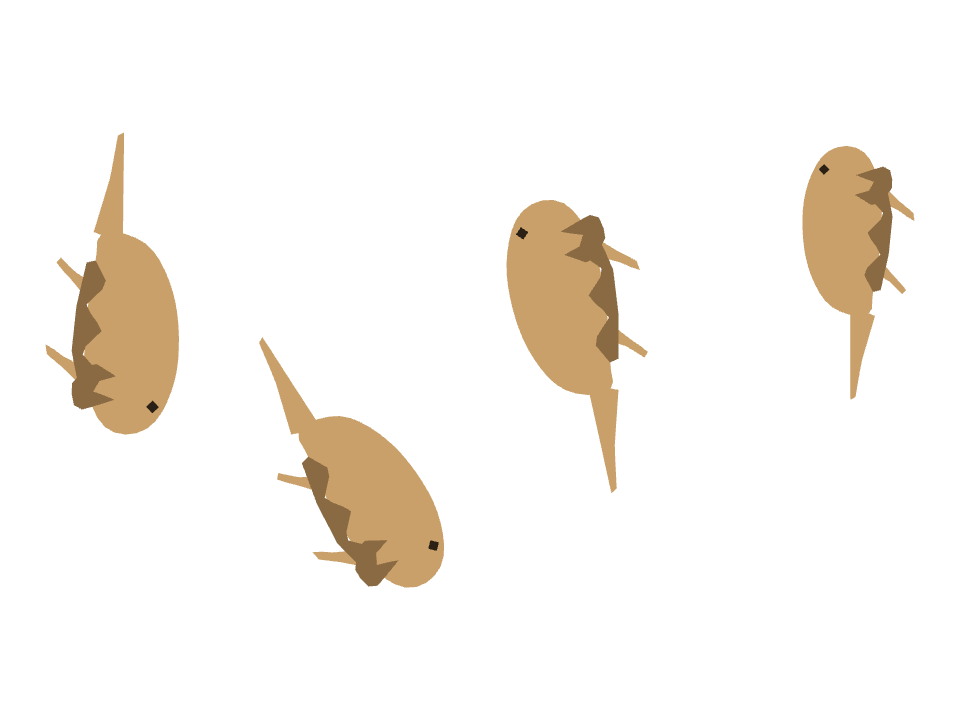 Bearded Dragon drawn along a curved stroke