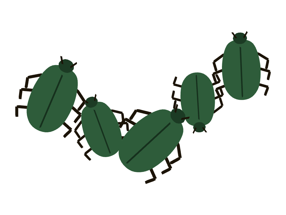 Beetle drawn along a curved stroke
