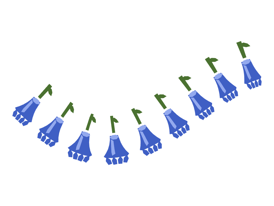 Bellflower fringe drawn along a curved stroke