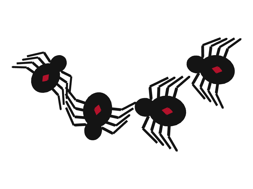 Black Spider drawn along a curved stroke