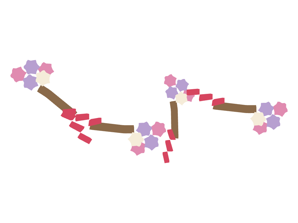 Bouquet Toss drawn along a curved stroke