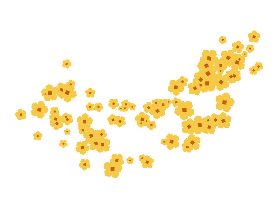 Buttercup drift drawn along a curved stroke