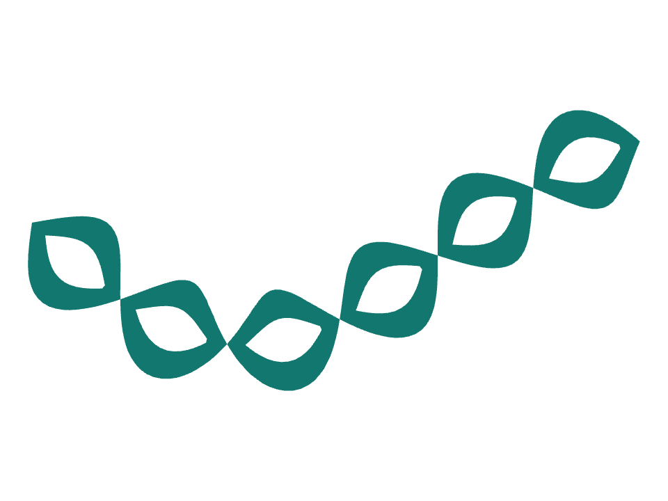 Chain loop drawn along a curved stroke