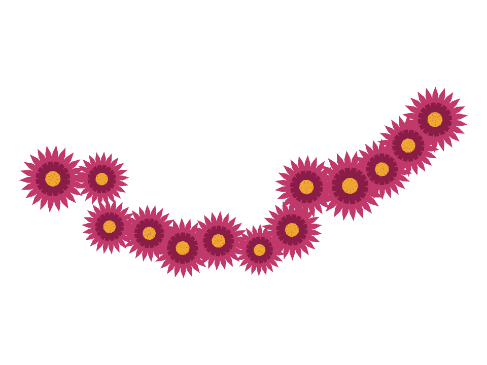 Chrysanthemum drawn along a curved stroke