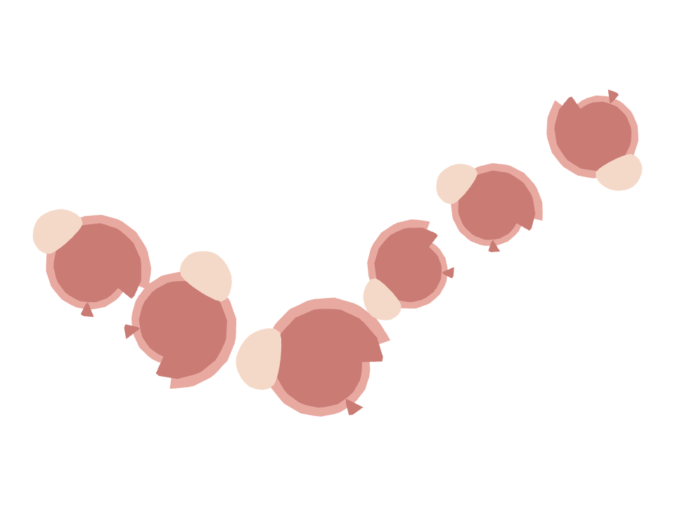 Conch Shell drawn along a curved stroke