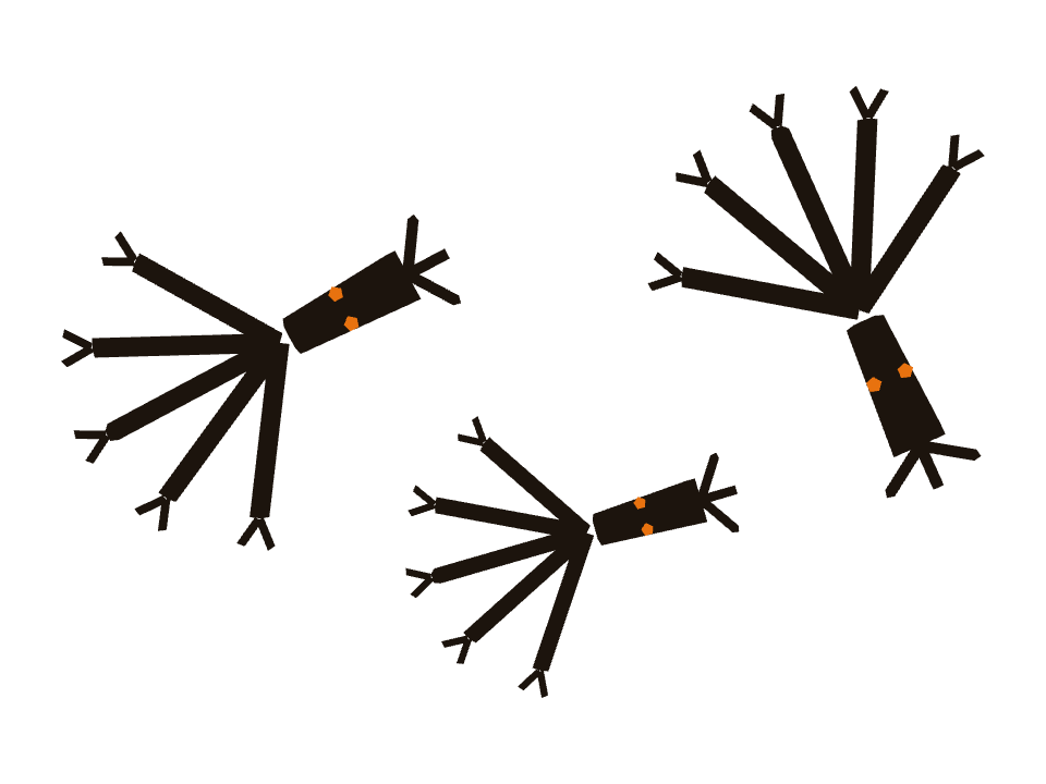 Creepy Tree drawn along a curved stroke