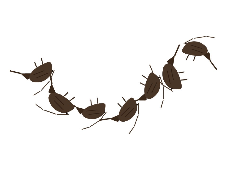 Cricket drawn along a curved stroke