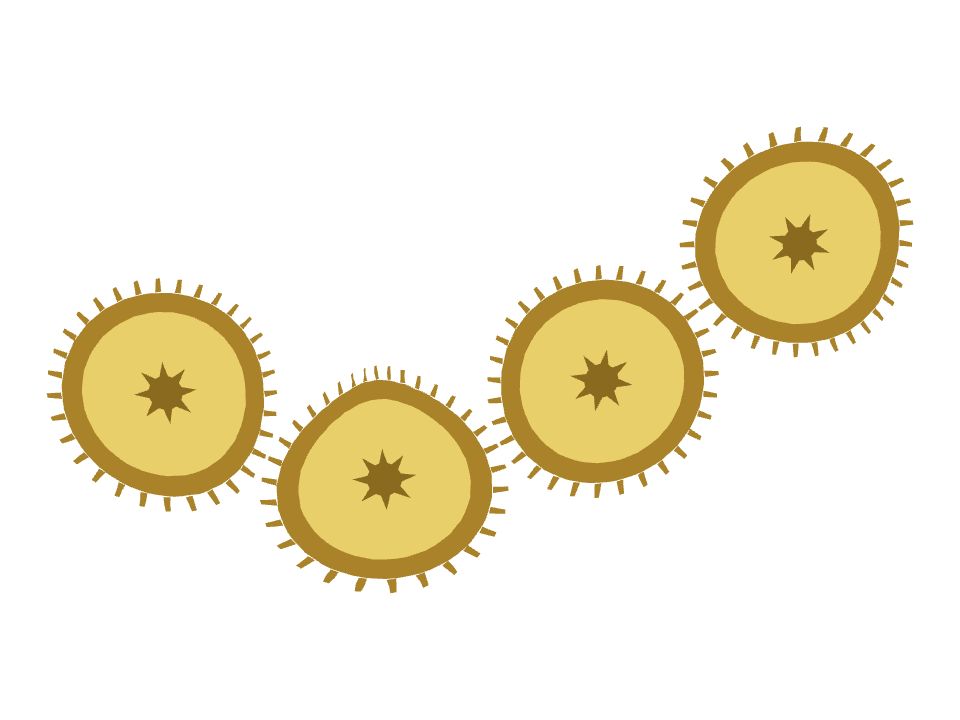 Currency Coin drawn along a curved stroke