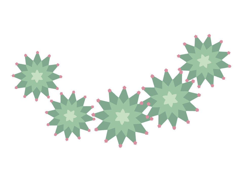 Echeveria Rosette drawn along a curved stroke