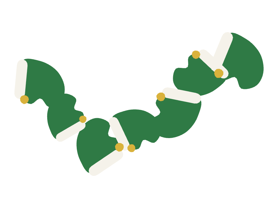 Elf Hat drawn along a curved stroke
