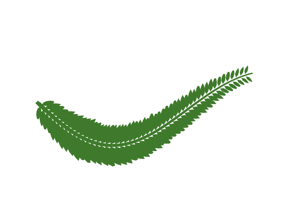 Fern frond drawn along a curved stroke