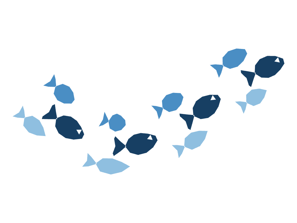 Fish shoal drawn along a curved stroke
