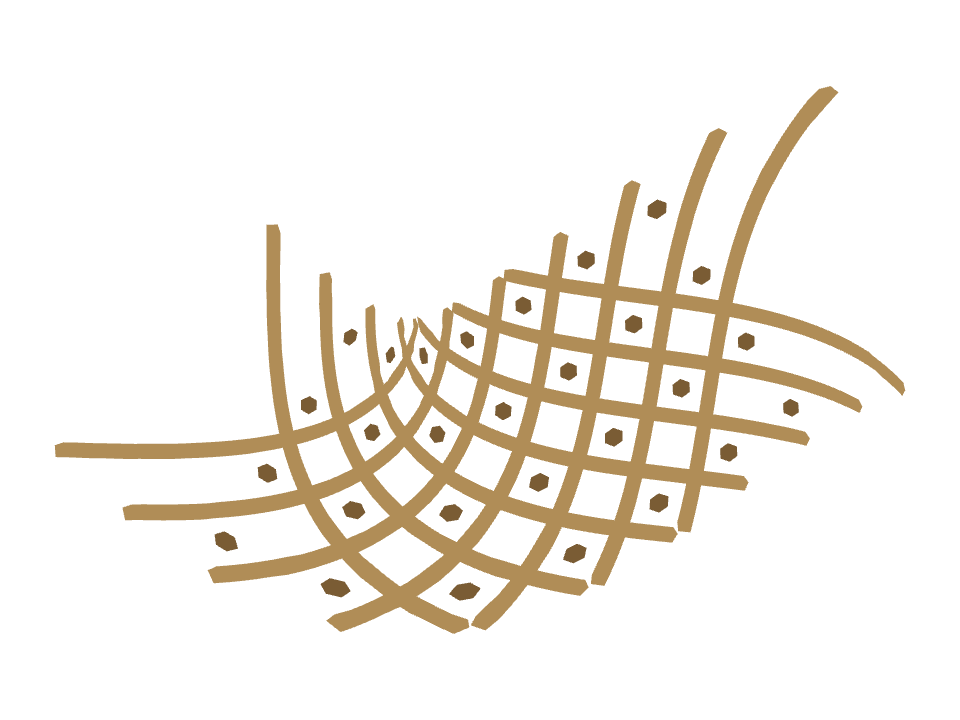 Fishing Net drawn along a curved stroke
