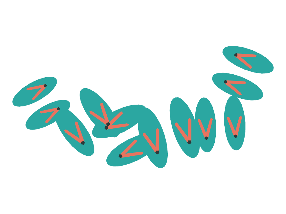 Flip Flops drawn along a curved stroke