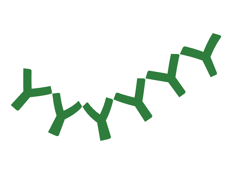 Fly stitch drawn along a curved stroke