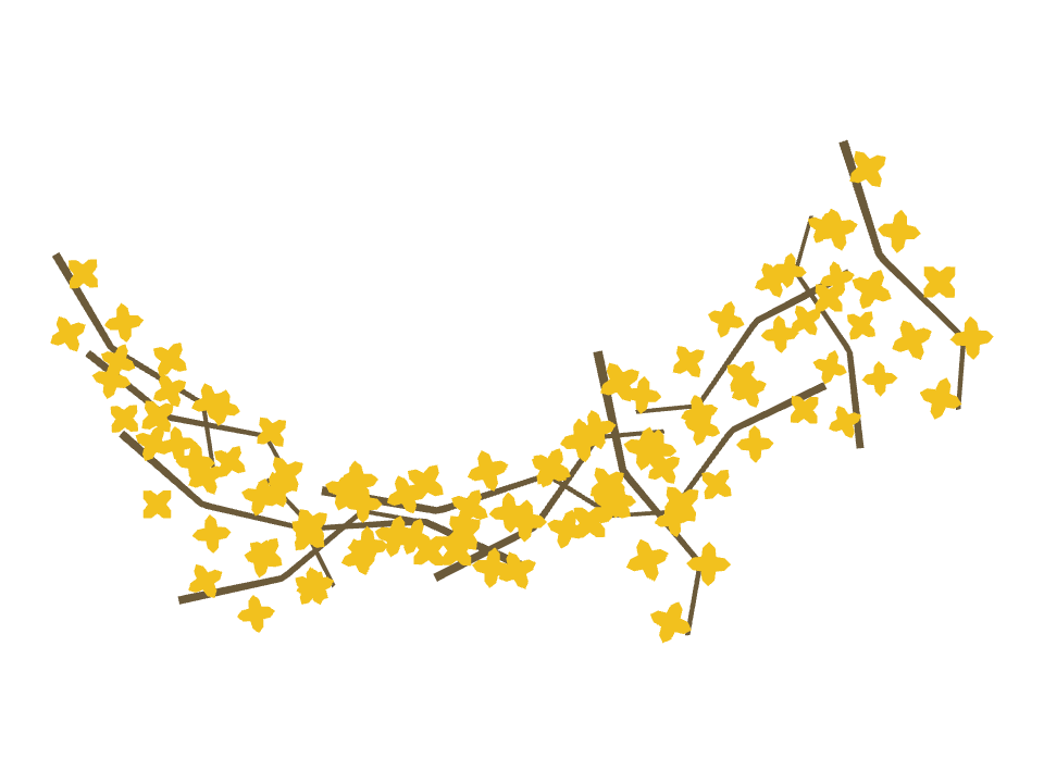 Forsythia Branch drawn along a curved stroke