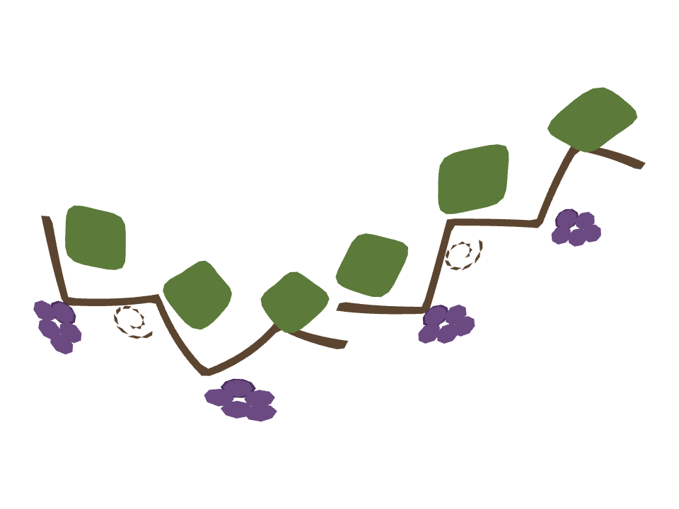 Grapevine drawn along a curved stroke