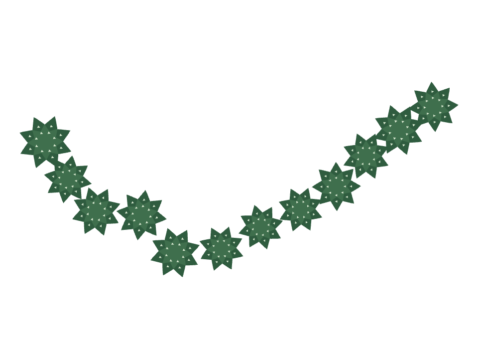 Haworthia drawn along a curved stroke