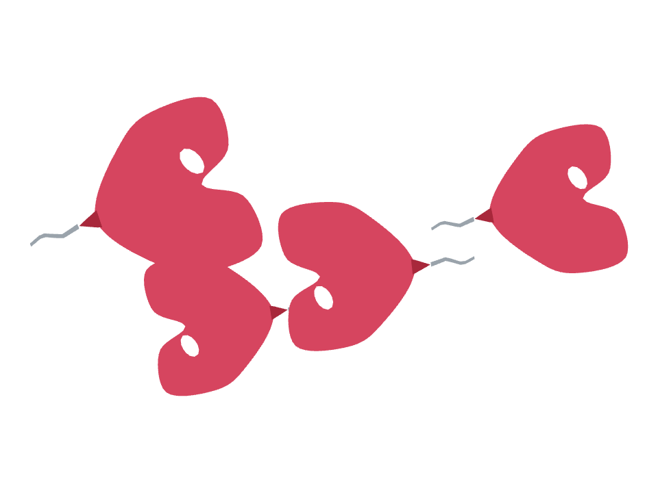 Heart Balloon drawn along a curved stroke