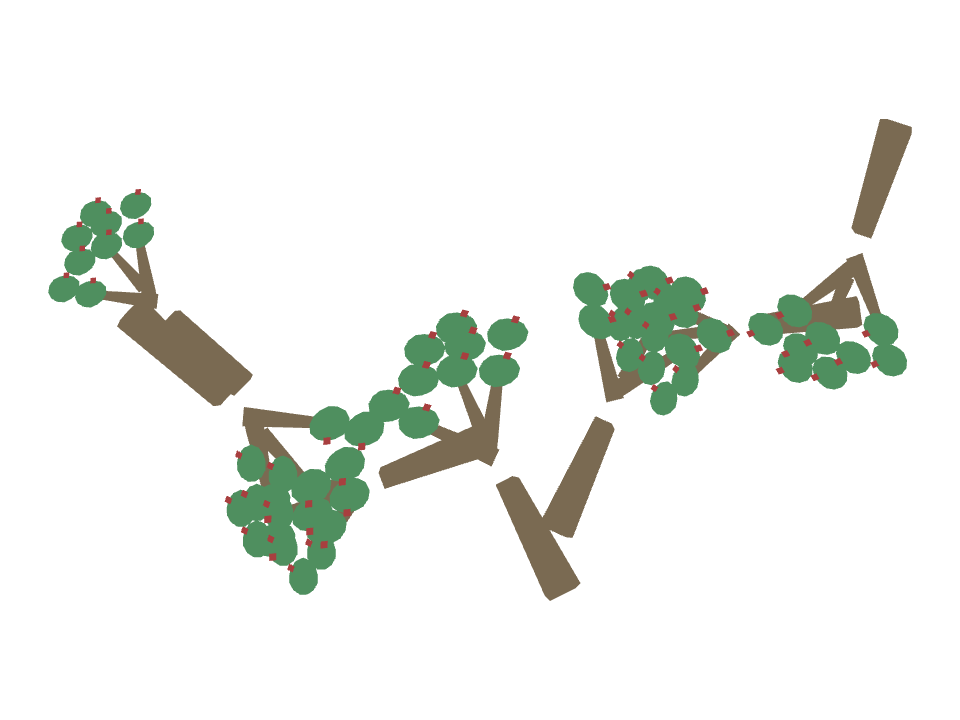 Jade Plant drawn along a curved stroke