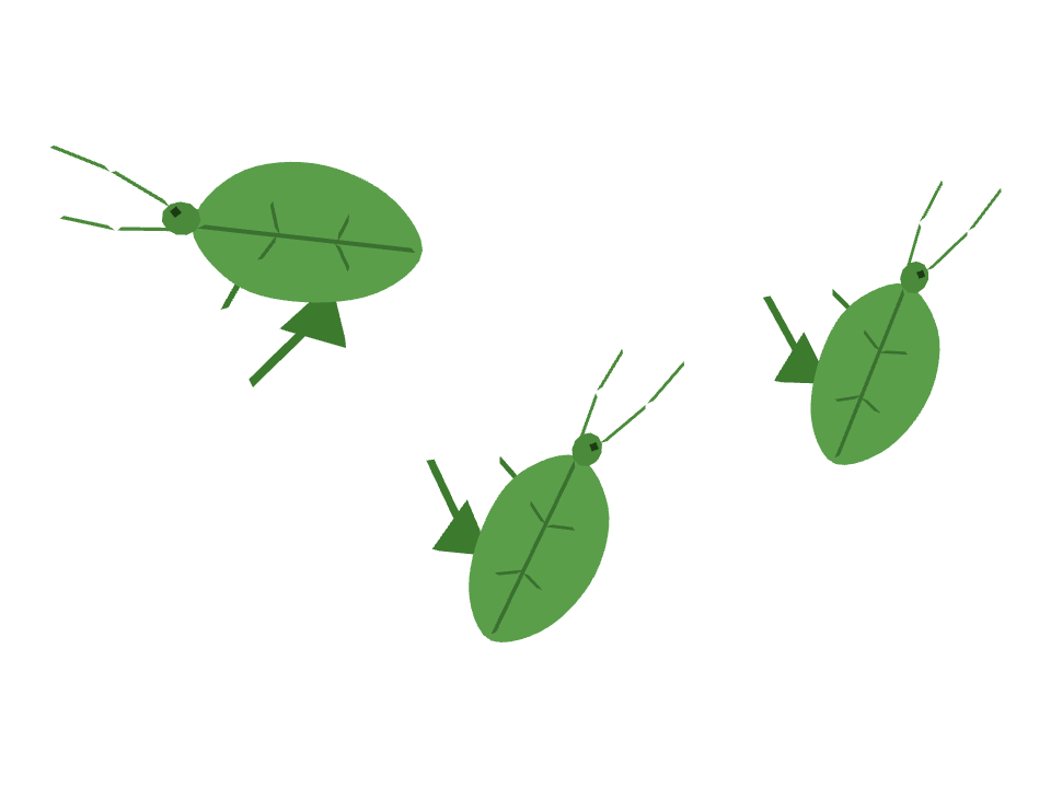 Katydid drawn along a curved stroke