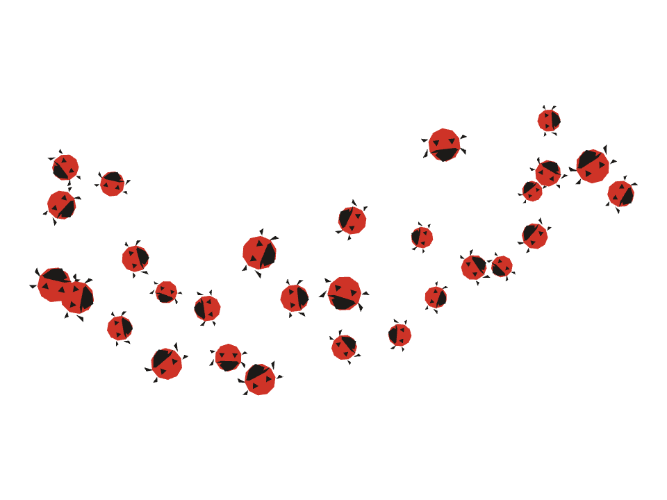 Ladybirds drawn along a curved stroke