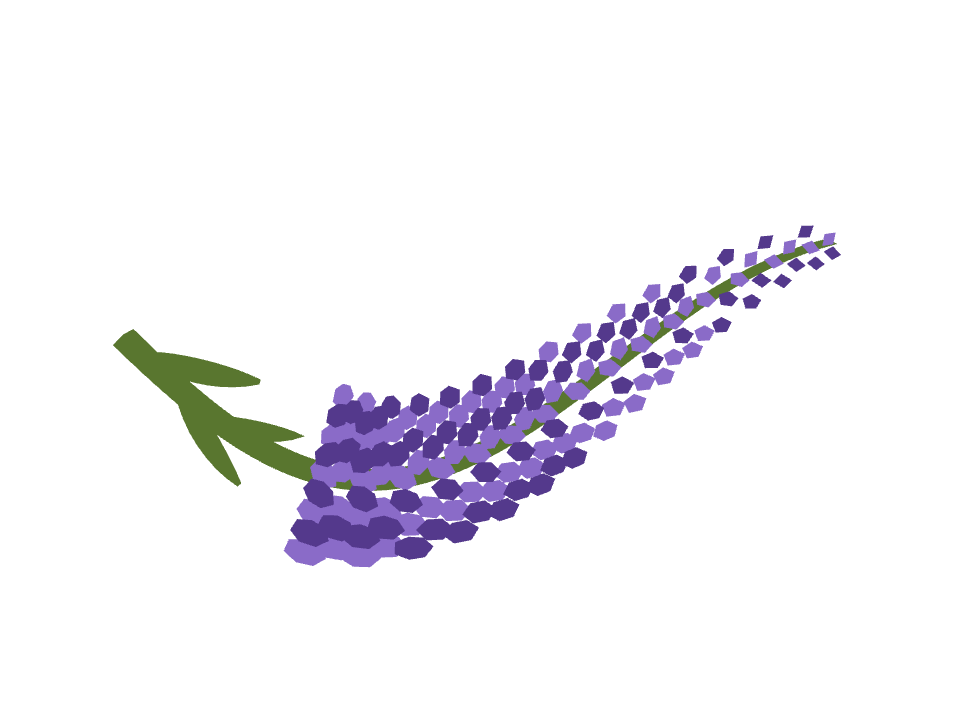 Lavender wand drawn along a curved stroke
