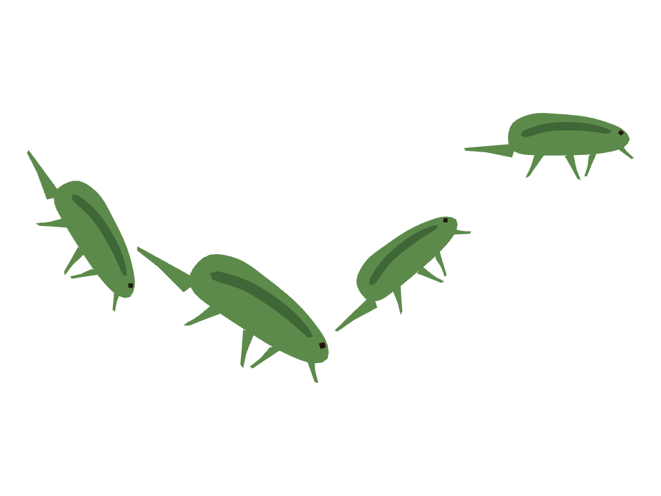 Lizard drawn along a curved stroke