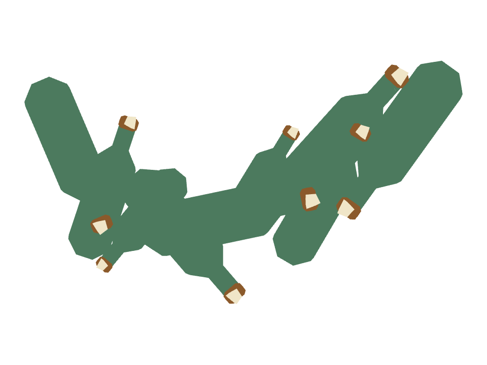 Message in a Bottle drawn along a curved stroke