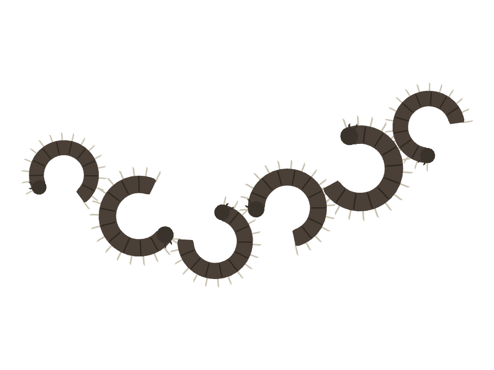 Millipede drawn along a curved stroke