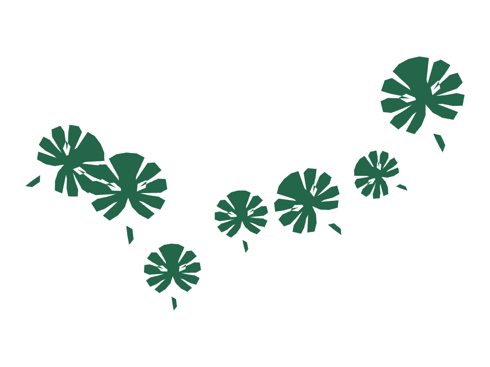 Monstera leaves drawn along a curved stroke