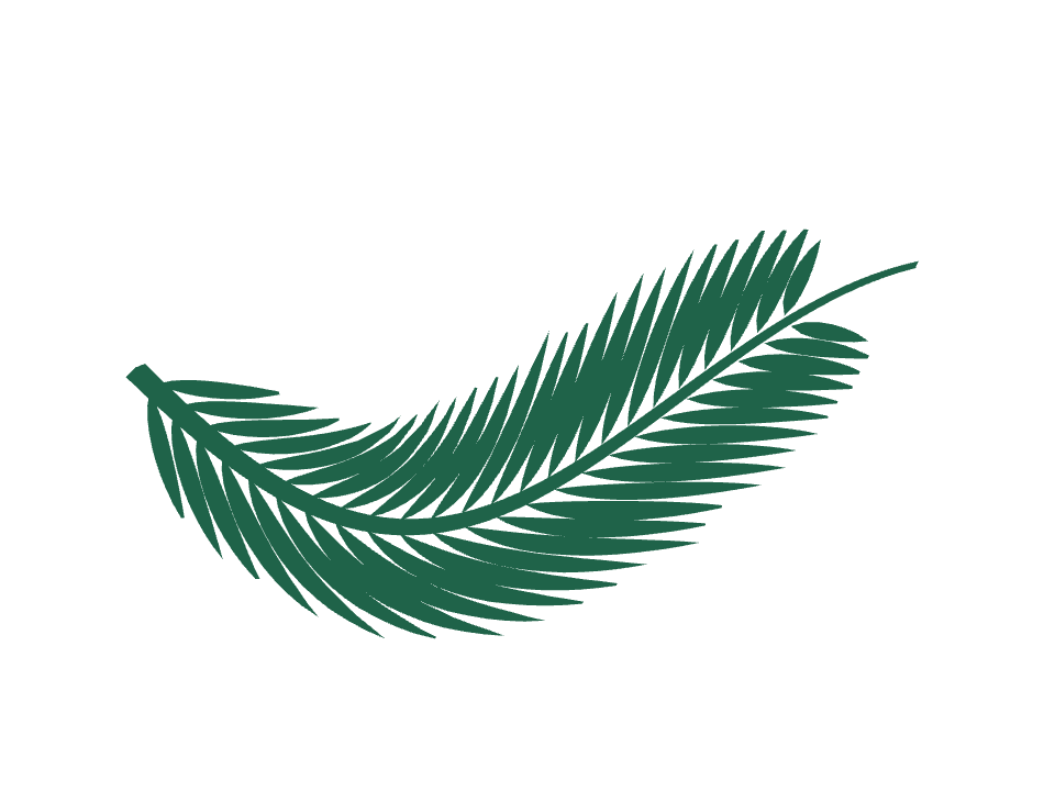 Palm frond drawn along a curved stroke