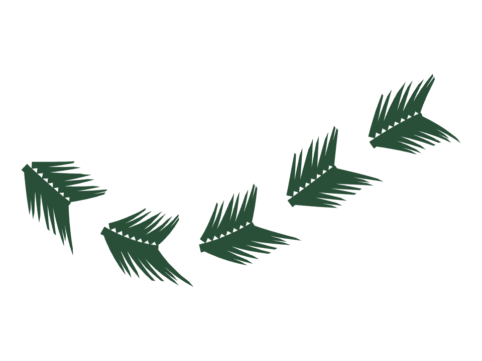 Pine sprig run drawn along a curved stroke