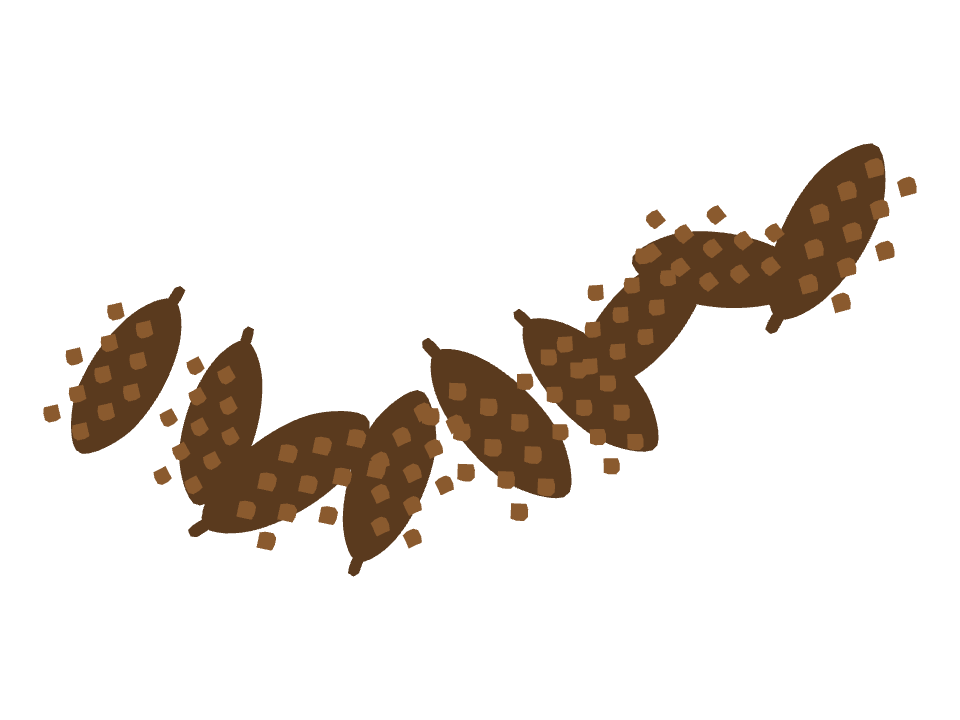 Pinecone drawn along a curved stroke