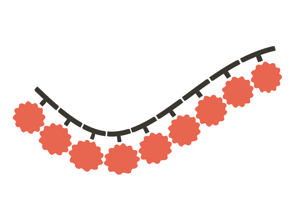 Pom pom trim drawn along a curved stroke
