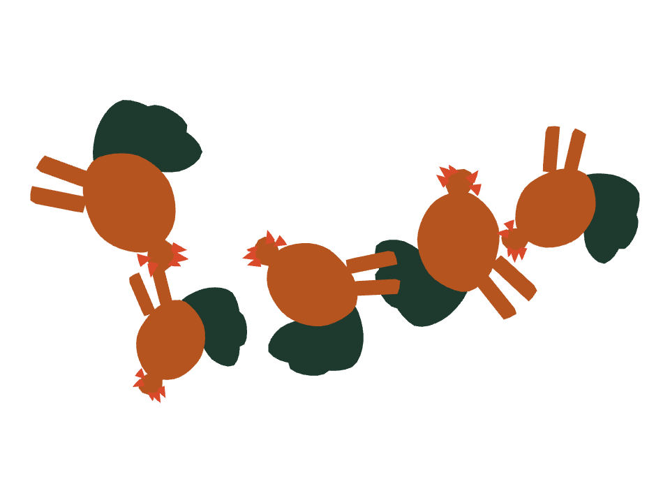 Rooster drawn along a curved stroke