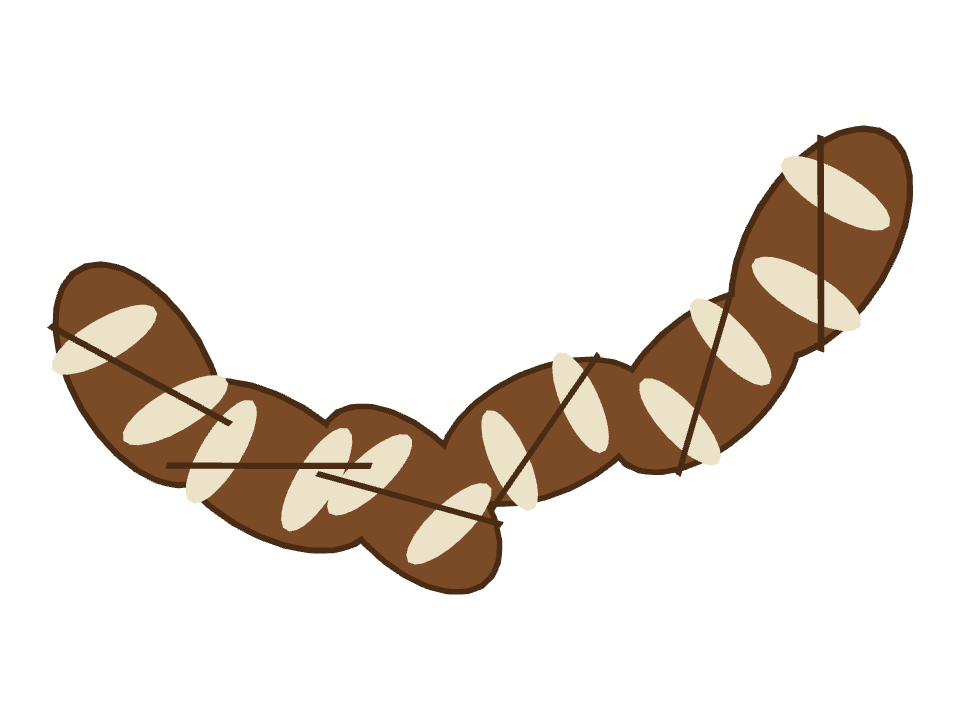Rugby Ball drawn along a curved stroke