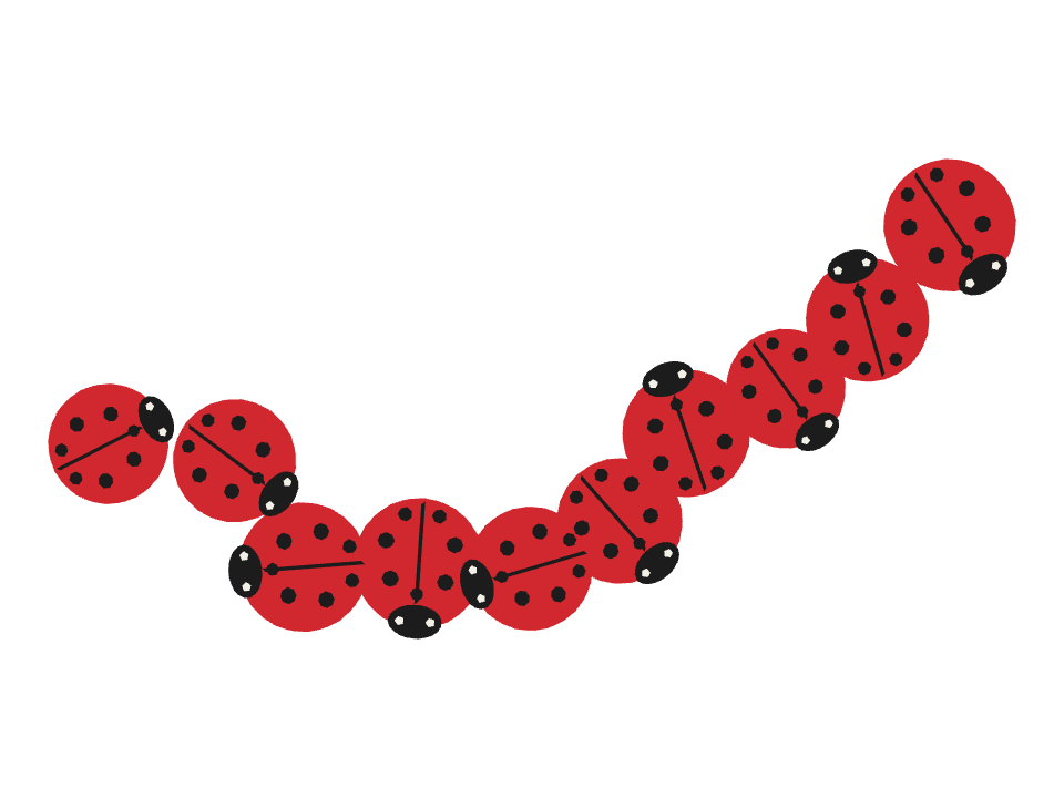 Seven Spot Ladybug drawn along a curved stroke