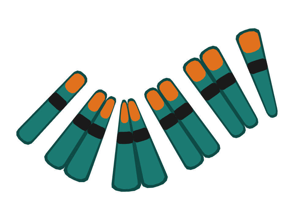 Skis drawn along a curved stroke