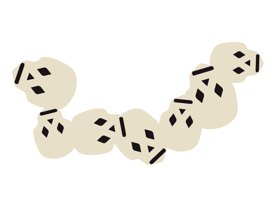 Skull Ornament drawn along a curved stroke