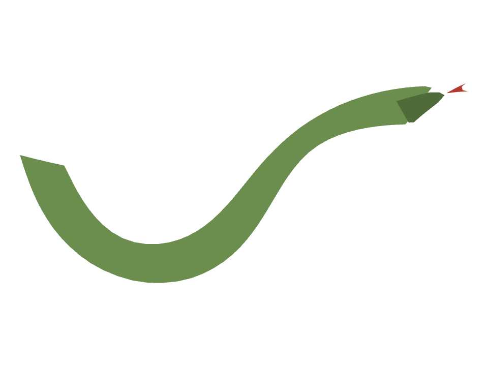 Snake drawn along a curved stroke
