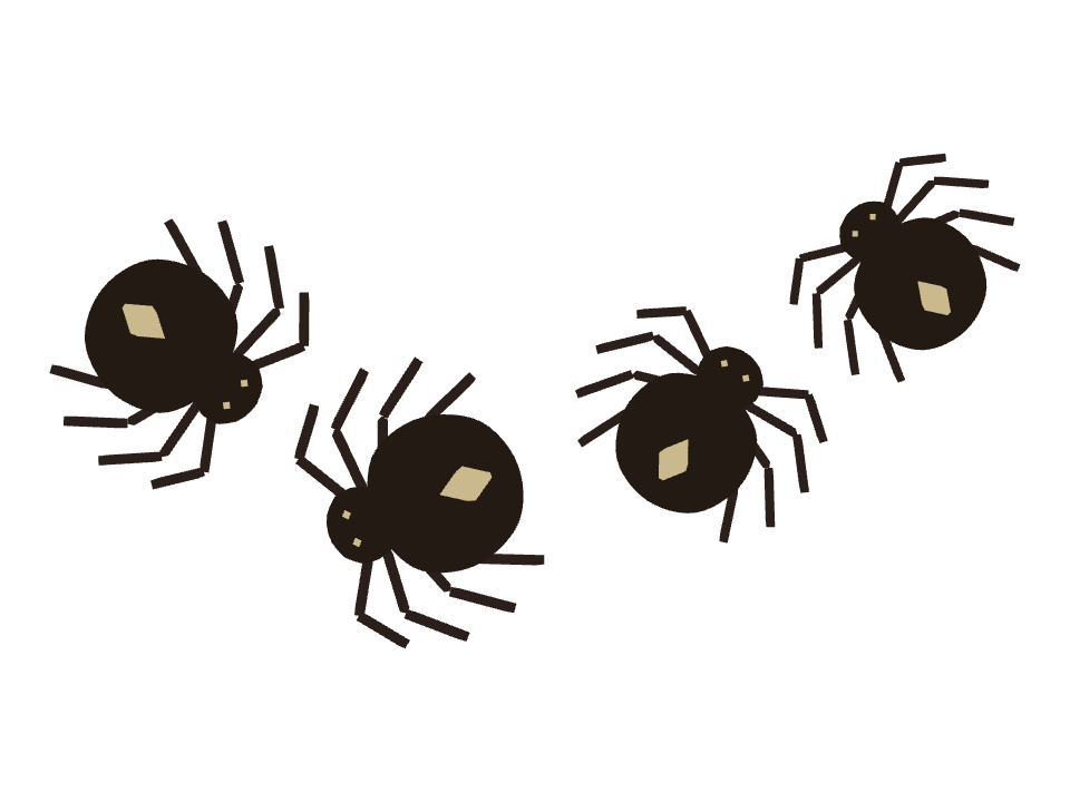 Spider drawn along a curved stroke