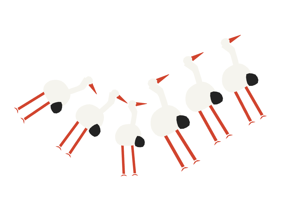 Stork drawn along a curved stroke