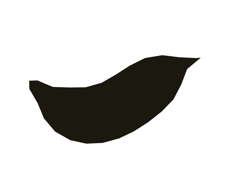 Sumi-e drawn along a curved stroke