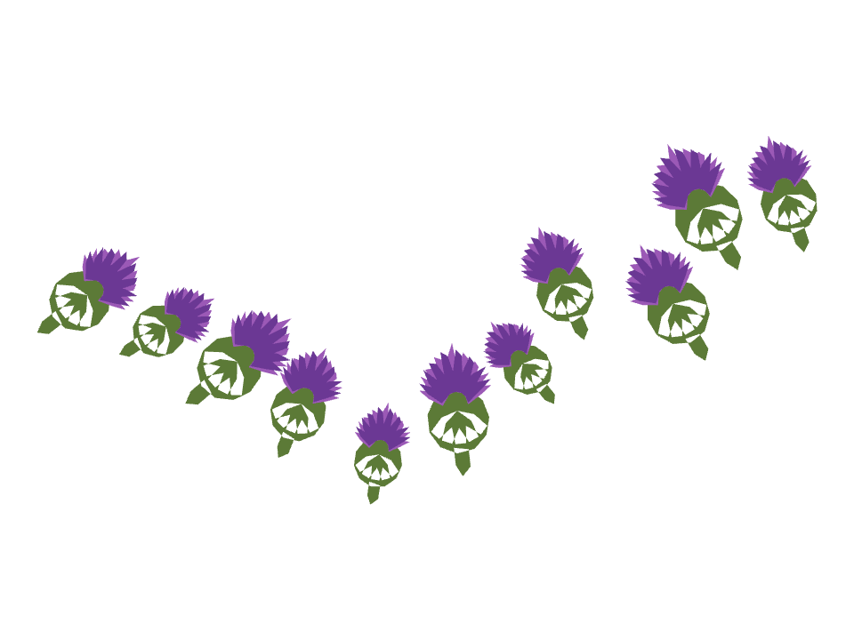 Thistle bloom drawn along a curved stroke