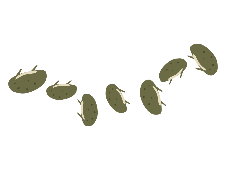 Toad drawn along a curved stroke
