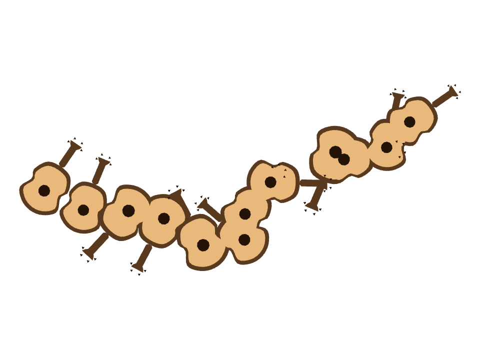 Ukulele drawn along a curved stroke